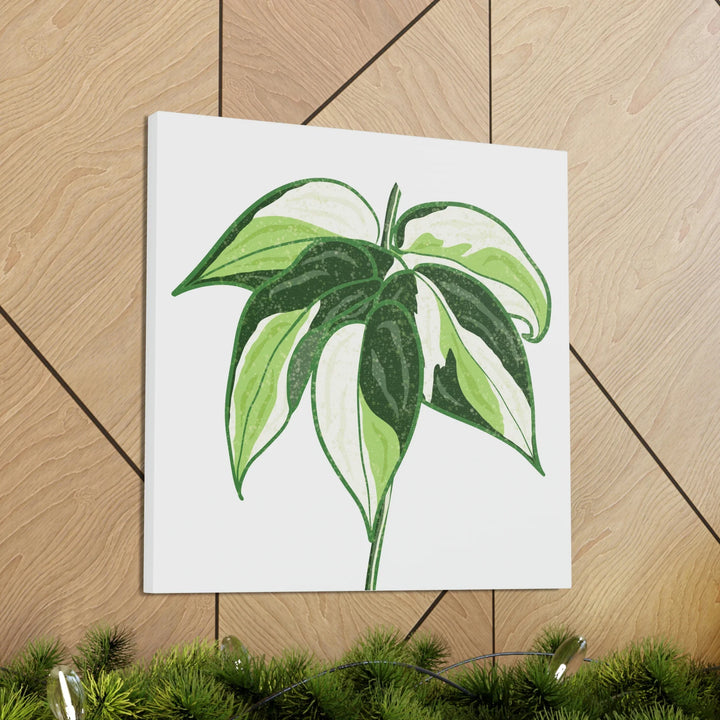 Philodendron Canvas Print - Cream Splash Variegated Plant Art on Matte Cotton Canvas