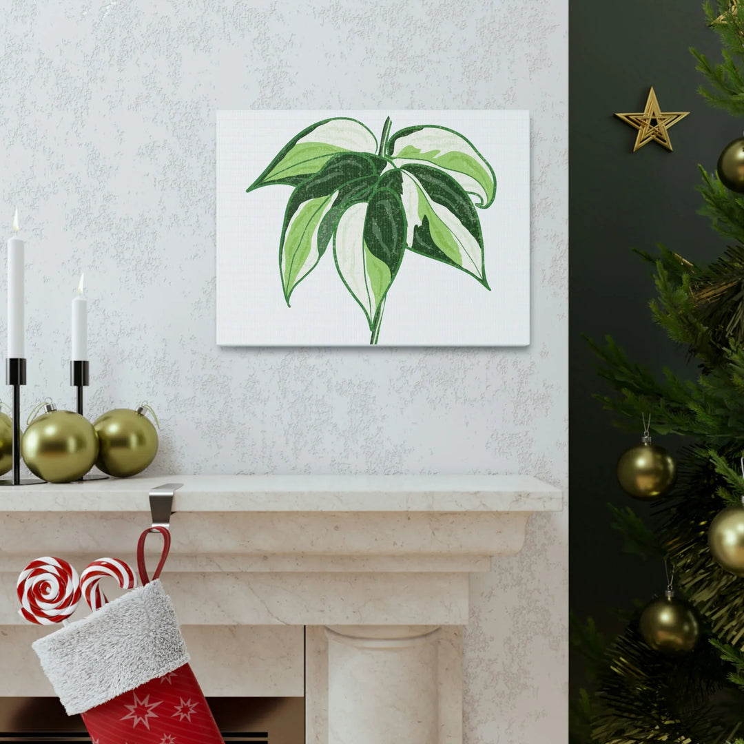 Philodendron Canvas Print - Cream Splash Variegated Plant Art on Matte Cotton Canvas