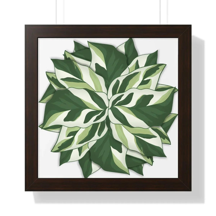 Calathea White Fusion Framed Print, Poster, Laura Christine Photography & Design, Bottle, Calathea, Canvas Bag, Coffee, Drinkware, Framed, Home & Living, Indoor, Paper, Posters, Prayer Plant, Reusable, Shopping Bag, Tea, Tote Bag, Travel, Tumbler, Water, White Fusion, Laura Christine Photography & Design, laurachristinedesign.com