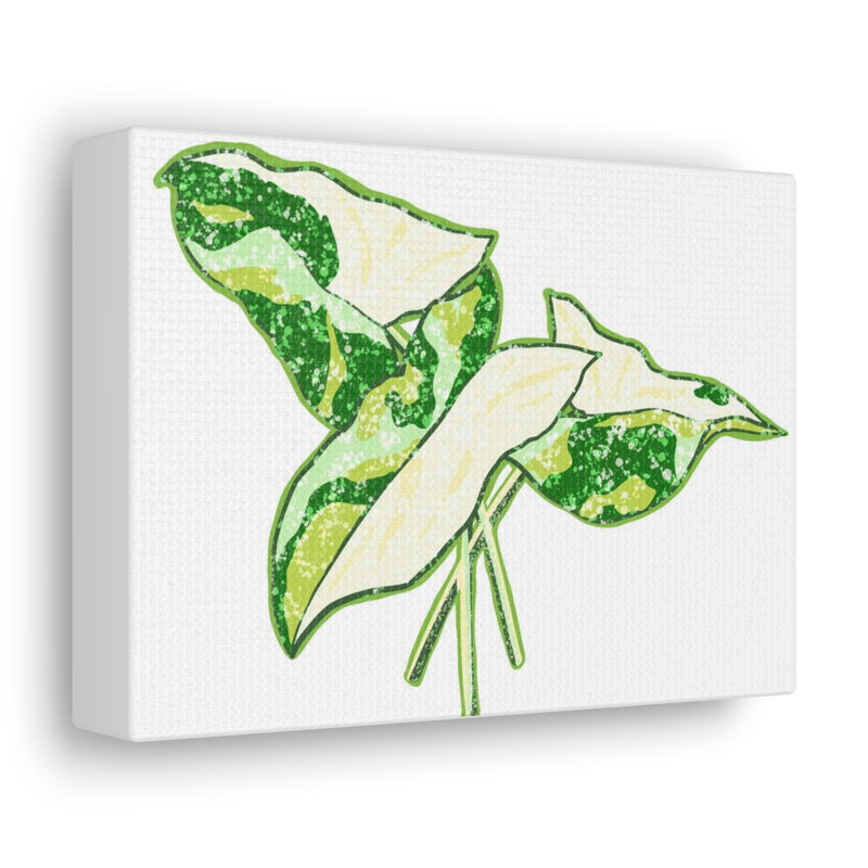 Marble Syngonium Canvas