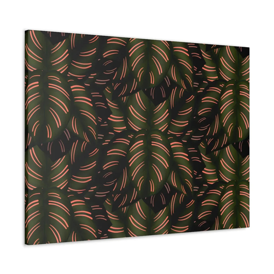 Calathea Pinstripe Canvas – Botanical Canvas Art Print | Matte Finish Wall Decor