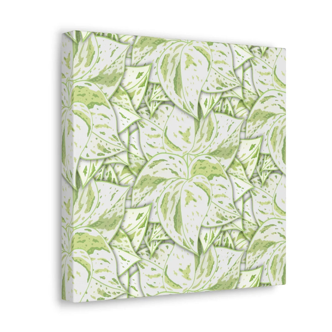 Snow Queen Pothos Canvas – Matte Finish Canvas Art Print | Variegated Botanical Wall Decor