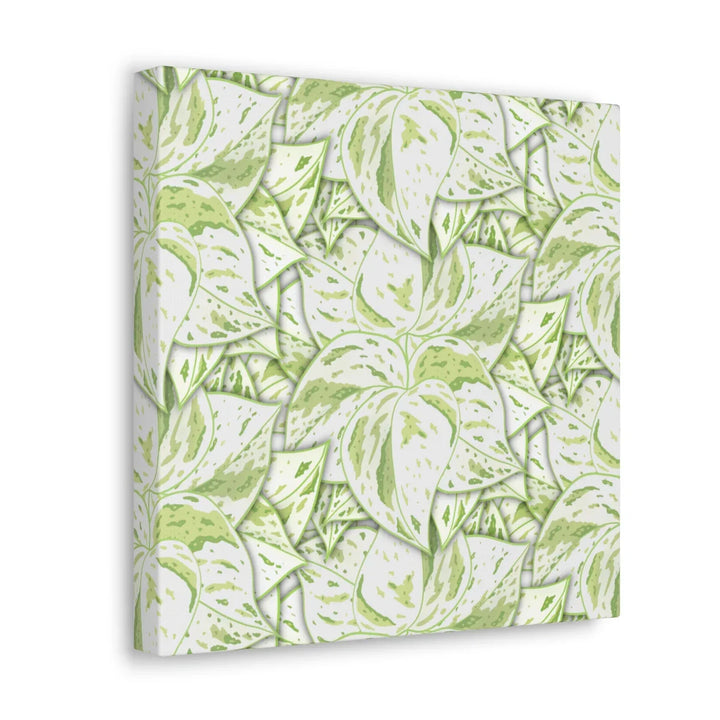 Snow Queen Pothos Canvas – Matte Finish Canvas Art Print | Variegated Botanical Wall Decor