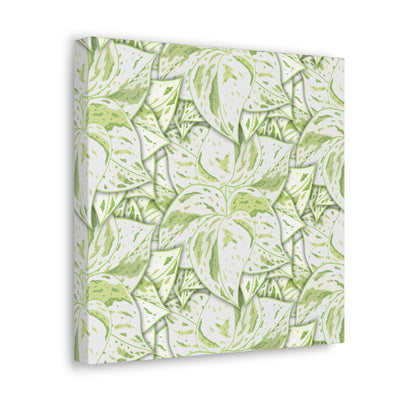 Snow Queen Pothos Canvas