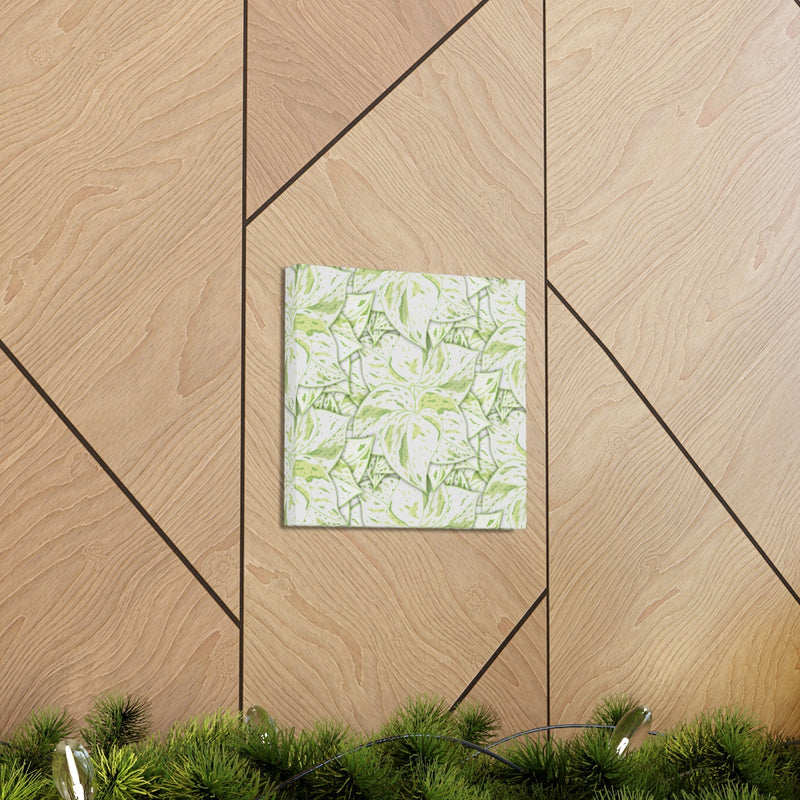 Snow Queen Pothos Canvas