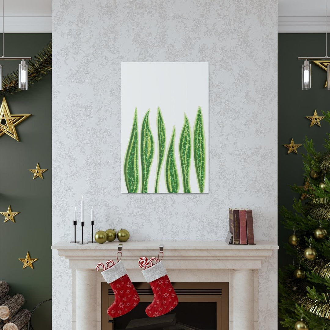 Snake Plant Canvas | Botanical Canvas Decor - Matte Finish Artwork for Living Room - Laura Christine Photography & Design