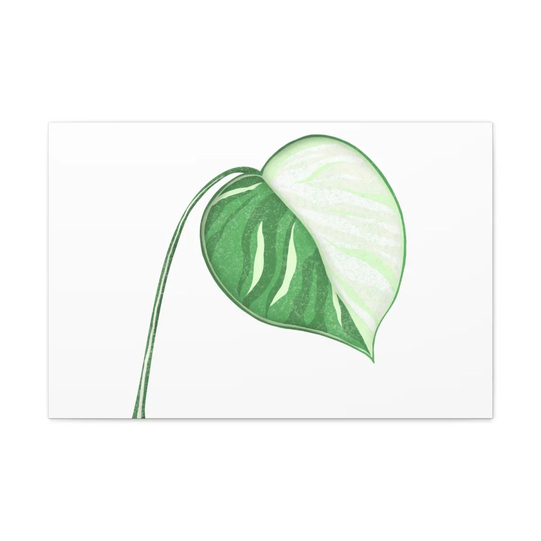 Monstera Albo Canvas | Large Tropical Leaf Artwork - Matte Finish Canvas Art Print - Laura Christine Photography & Design