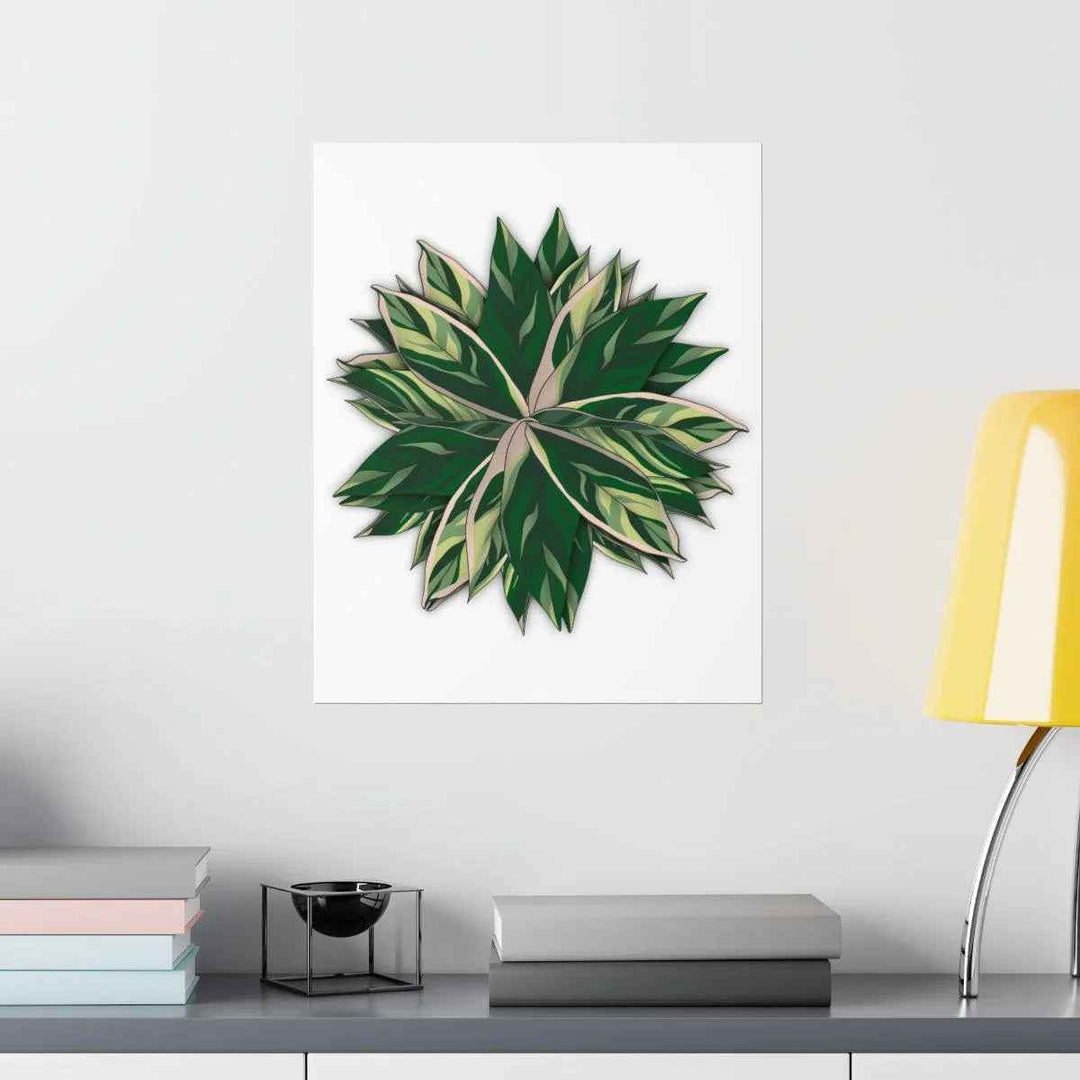Stromanthe Triostar Print – Tropical Wall Art | Botanical Poster on Museum Grade Paper Unframed