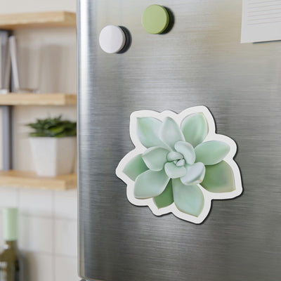 Pachyveria Haagei Succulent Magnets, Home Decor, Printify, Home & Living, Magnets, Magnets & Stickers, Valentine's Day promotion, Laura Christine Photography & Design, laurachristinedesign.com