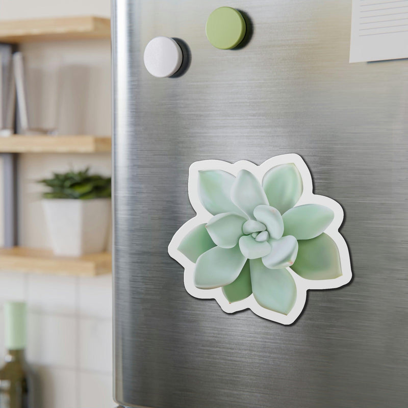 Pachyveria Haagei Succulent Magnets, Home Decor, Printify, Home & Living, Magnets, Magnets & Stickers, Valentine&