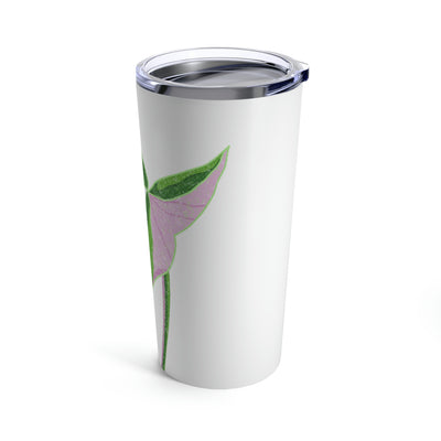 Syngonium Tricolor Tumbler