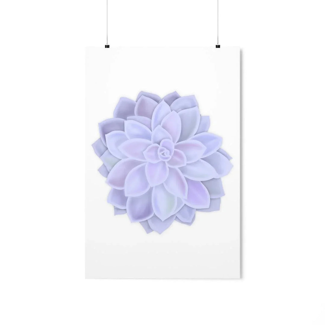 Graptopetalum 'Murasaki' Succulent Print, Poster, Laura Christine Photography & Design, Back to School, Home & Living, Indoor, Matte, Paper, Posters, Valentine's Day promotion, Laura Christine Photography & Design, laurachristinedesign.com