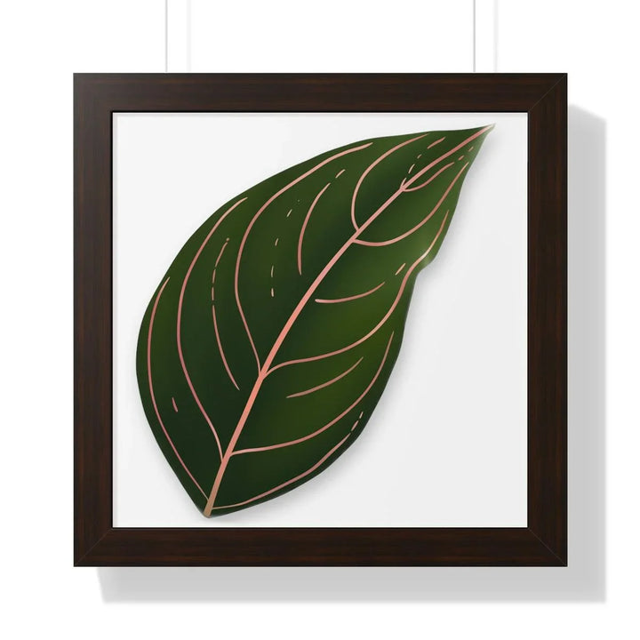 Aglaonema Rotundum Framed Print, Poster, Laura Christine Photography & Design, Framed, Home & Living, Indoor, Paper, Posters, Laura Christine Photography & Design, laurachristinedesign.com