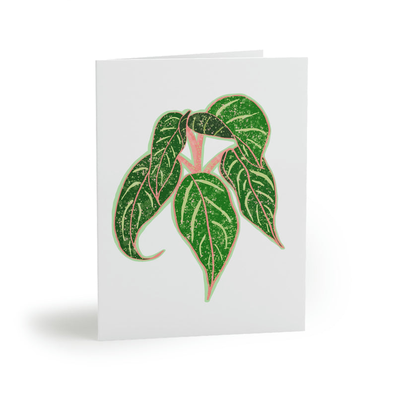 Tarjeta de felicitación de la planta Aglaonema (en blanco)