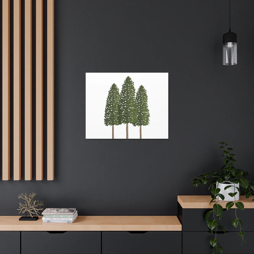 Ponderosa Pine Canvas - Large Stretched Cotton Canvas Art Print With Matte Finish