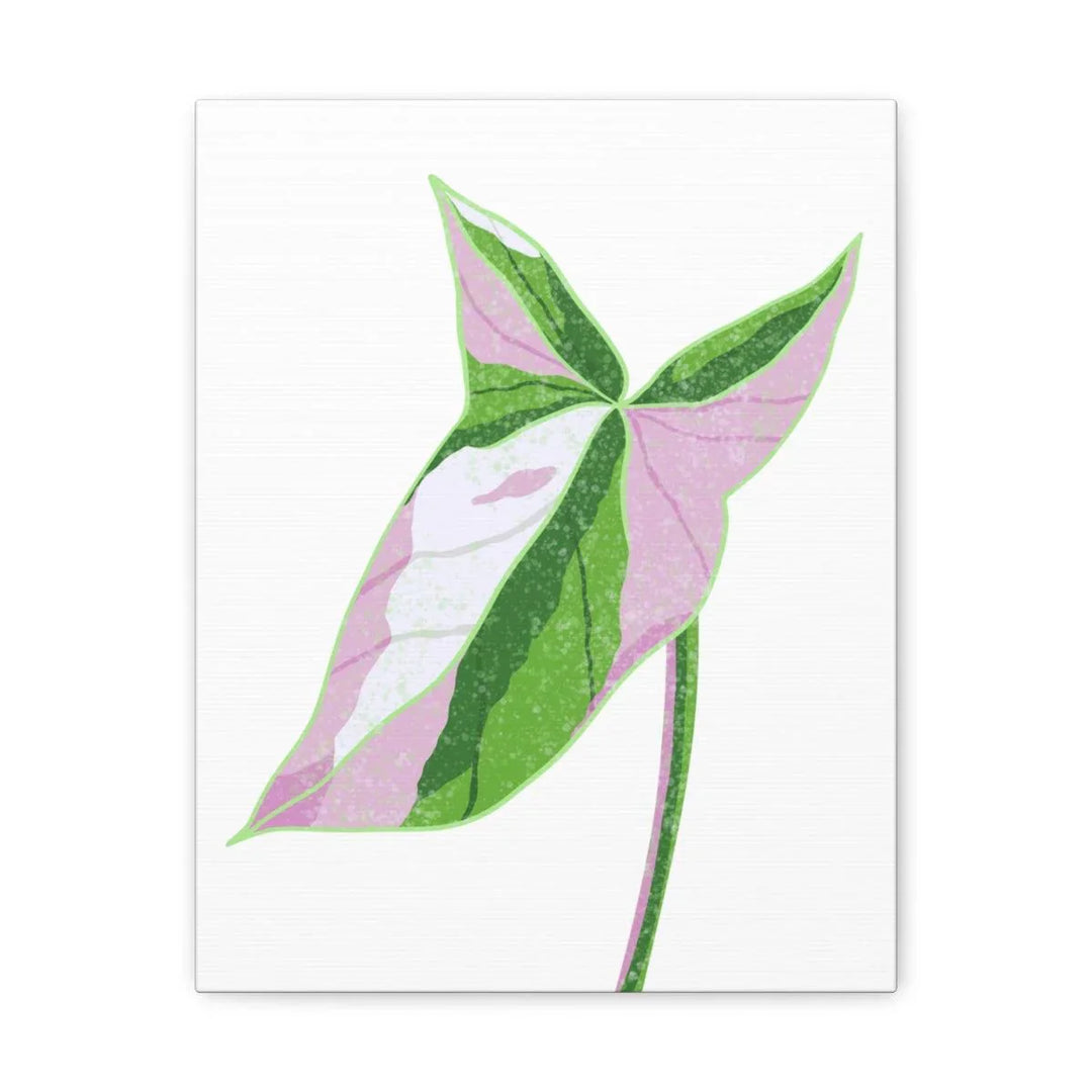 Syngonium Tricolor Canvas | Botanical Canvas Art Print With Matte Finish - Laura Christine Photography & Design