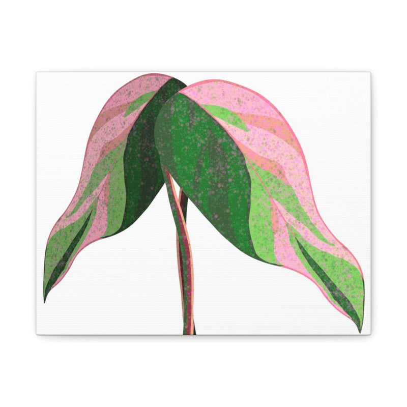 Pink Princess Philodendron Canvas, Canvas, Laura Christine Photography & Design, Art & Wall Decor, Canvas, Hanging Hardware, Home & Living, Indoor, Laura Christine Photography & Design, 