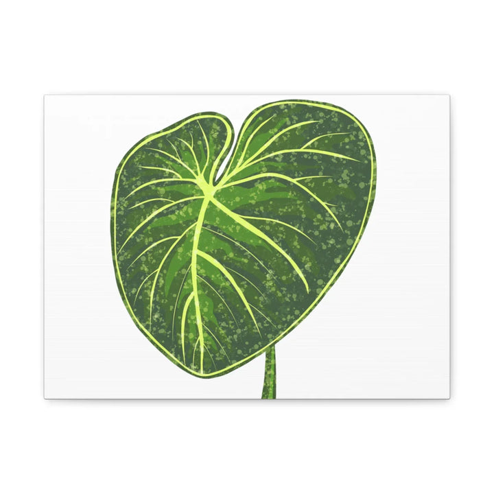 Philodendron Gloriosum Canvas - Stretched Canvas Art Print | Matte Indoor Wall Art - Laura Christine Photography & Design