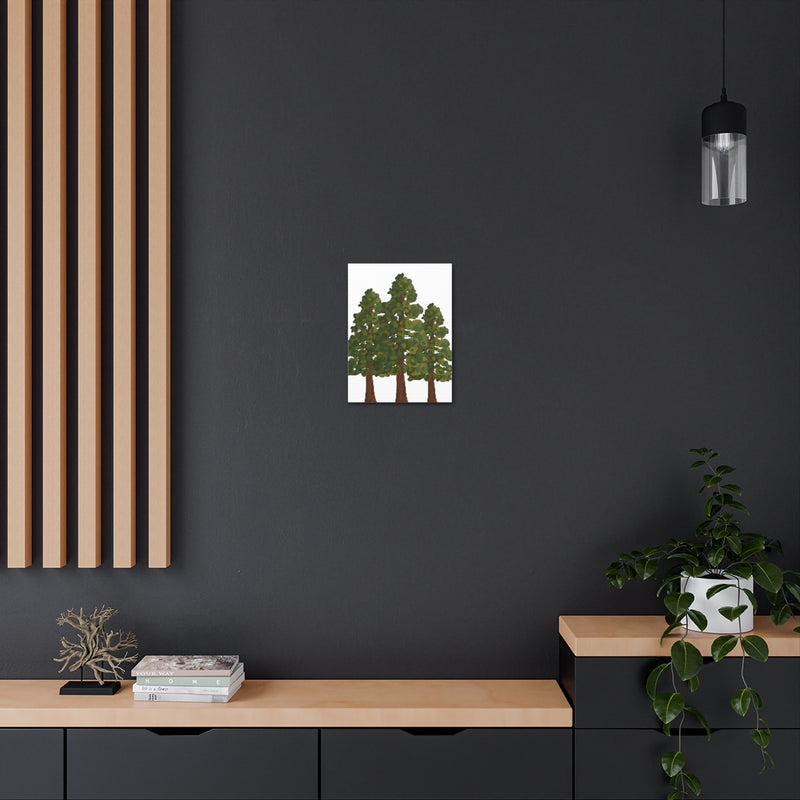 Coastal Redwoods Canvas