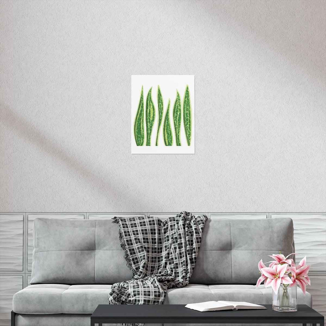 Snake Plant Print – Large Botanical Wall Art Poster | Matte Finish | Unframed