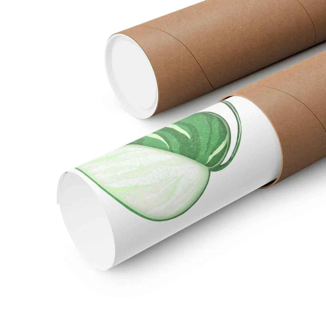 Monstera Albo Print – Large Tropical Leaf Poster | Museum Grade Paper Artwork Unframed