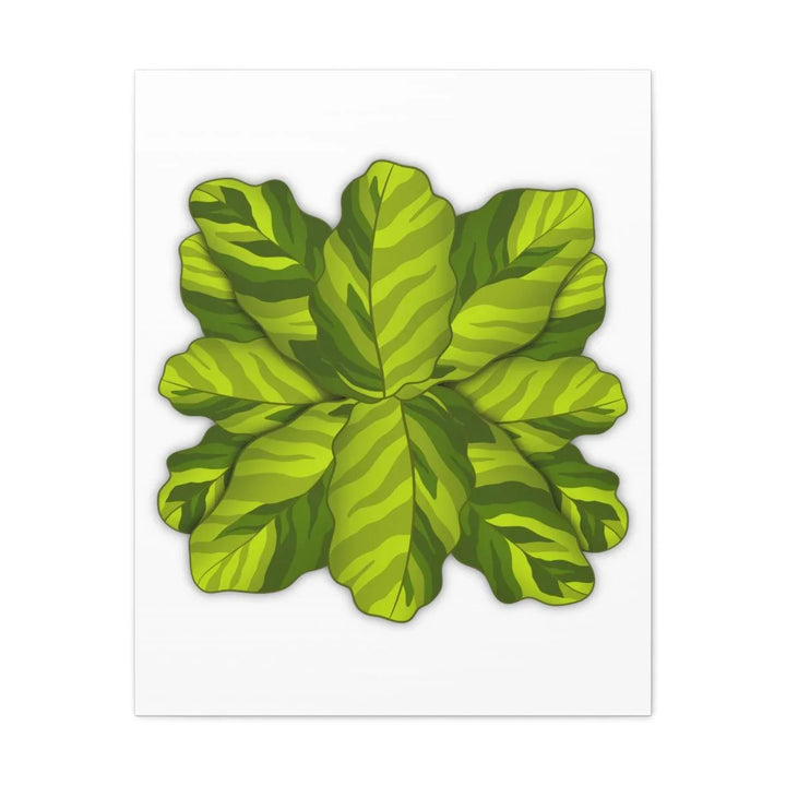 Calathea Yellow Fusion Canvas – Botanical Canvas Print With Unique Leaf Pattern Art - Laura Christine Photography & Design
