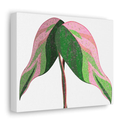 Pink Princess Philodendron Canvas, Canvas, Laura Christine Photography & Design, Art & Wall Decor, Canvas, Hanging Hardware, Home & Living, Indoor, Laura Christine Photography & Design, 