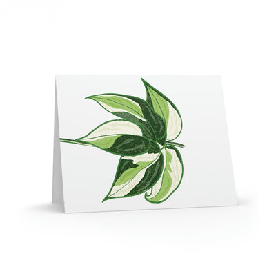 Philodendron 'Cream Splash' Greeting Card, Paper products, Printify, Greeting Card, Holiday Picks, Home & Living, Paper, Postcard, Postcards, Laura Christine Photography & Design, laurachristinedesign.com