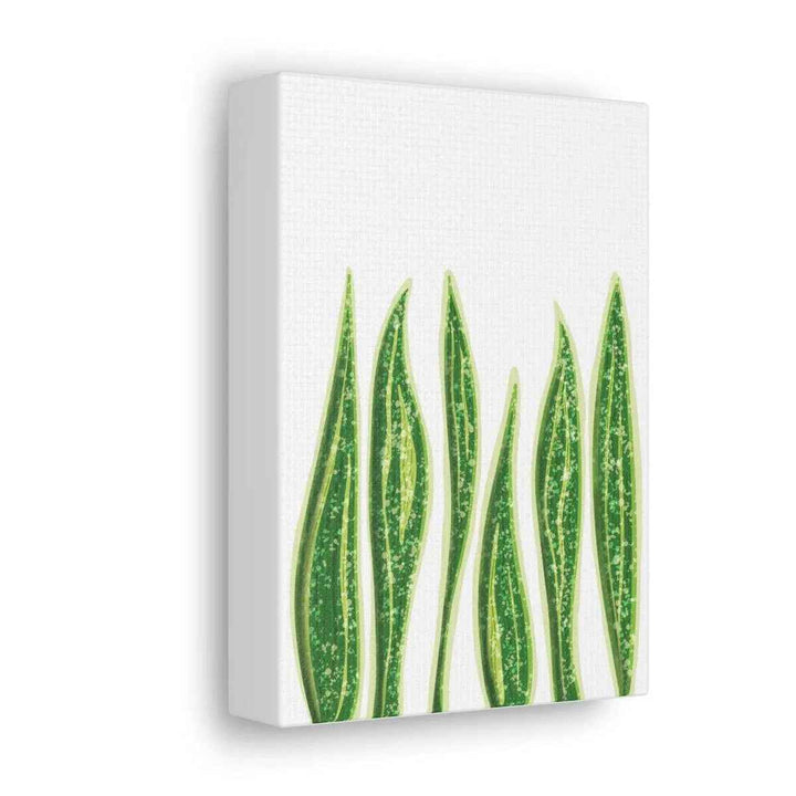 Snake Plant Canvas | Botanical Canvas Decor - Matte Finish Artwork for Living Room