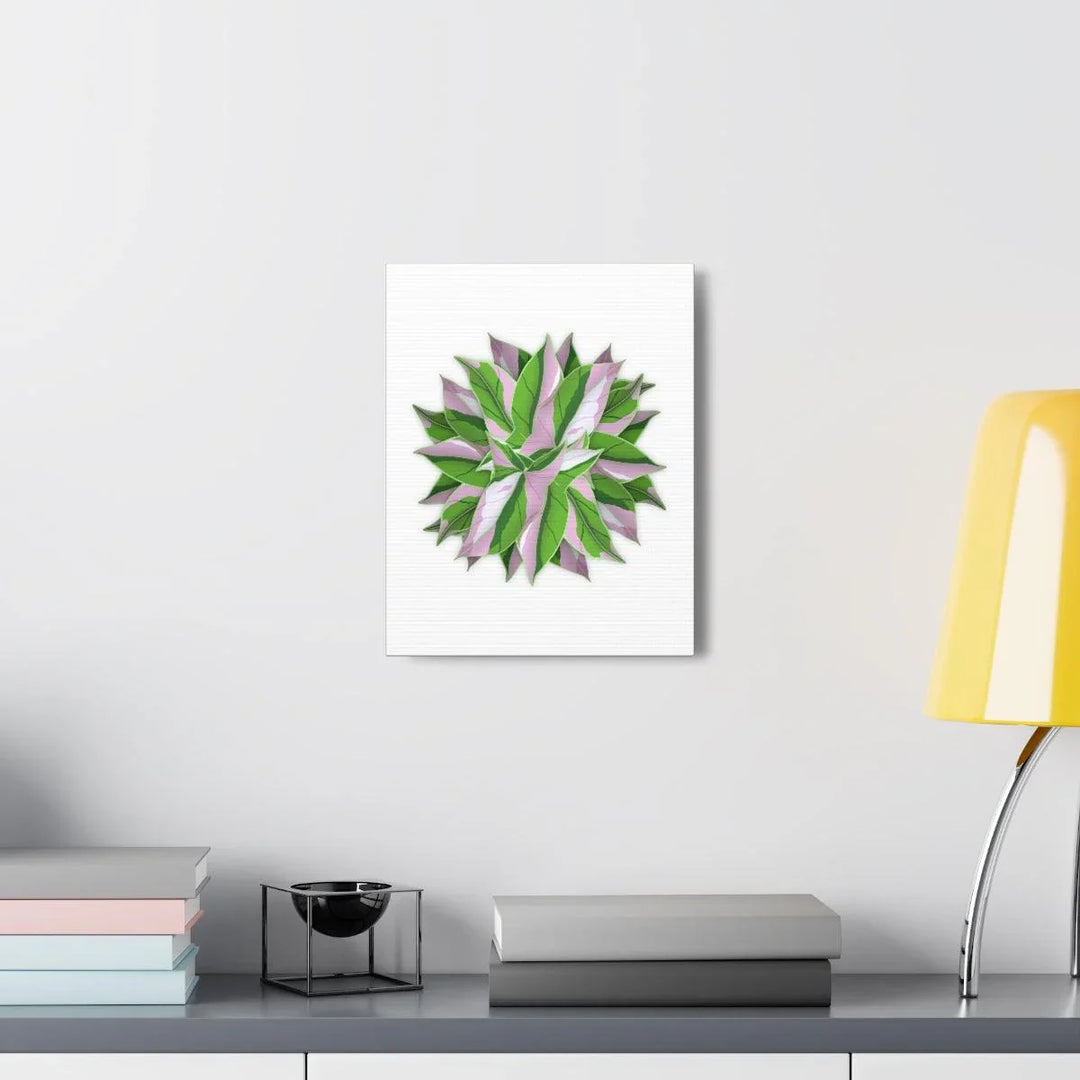 Tricolor Syngonium Canvas - Durable Canvas Art Print With Matte Finish & Botanical Design - Laura Christine Photography & Design
