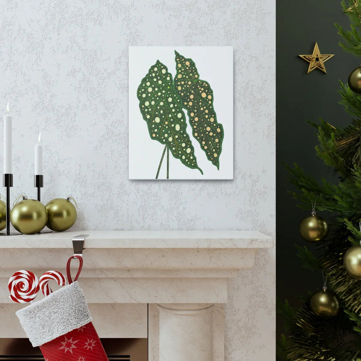 Begonia Maculata Canvas | Premium Canvas Art Print - Matte Finish, Durable Wall Decor - Laura Christine Photography & Design