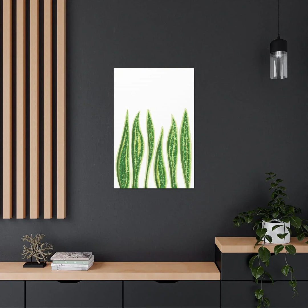 Snake Plant Canvas | Botanical Canvas Decor - Matte Finish Artwork for Living Room - Laura Christine Photography & Design