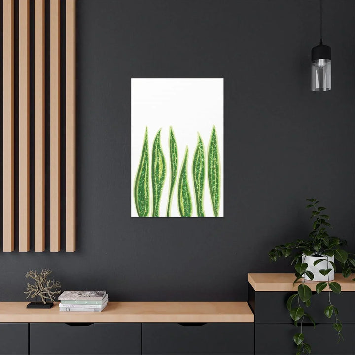 Snake Plant Canvas | Botanical Canvas Decor - Matte Finish Artwork for Living Room - Laura Christine Photography & Design