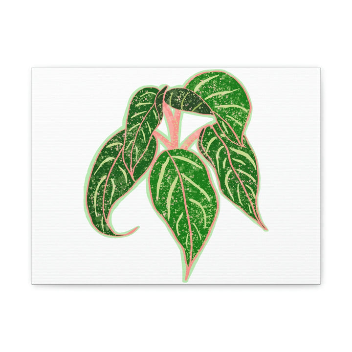 Aglaonema Plant Canvas | Sparkling Plant Artwork - Colorfast Canvas Art Print Decor