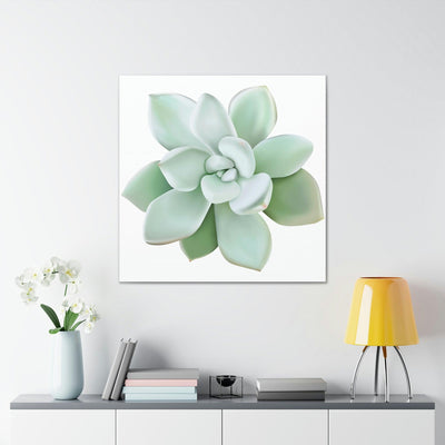 Pachyveria Haagei Succulent Canvas, Canvas, Printify, Art & Wall Decor, Canvas, Hanging Hardware, Home & Living, Indoor, Laura Christine Photography & Design, laurachristinedesign.com