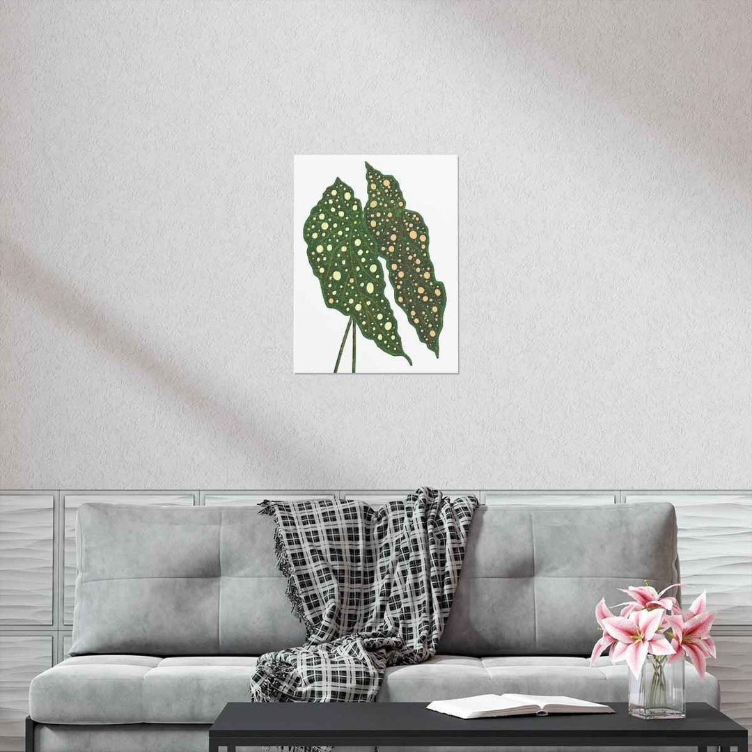 Begonia Maculata Print - Botanical Wall Art on Museum Grade Paper | Matte Finish Unframed