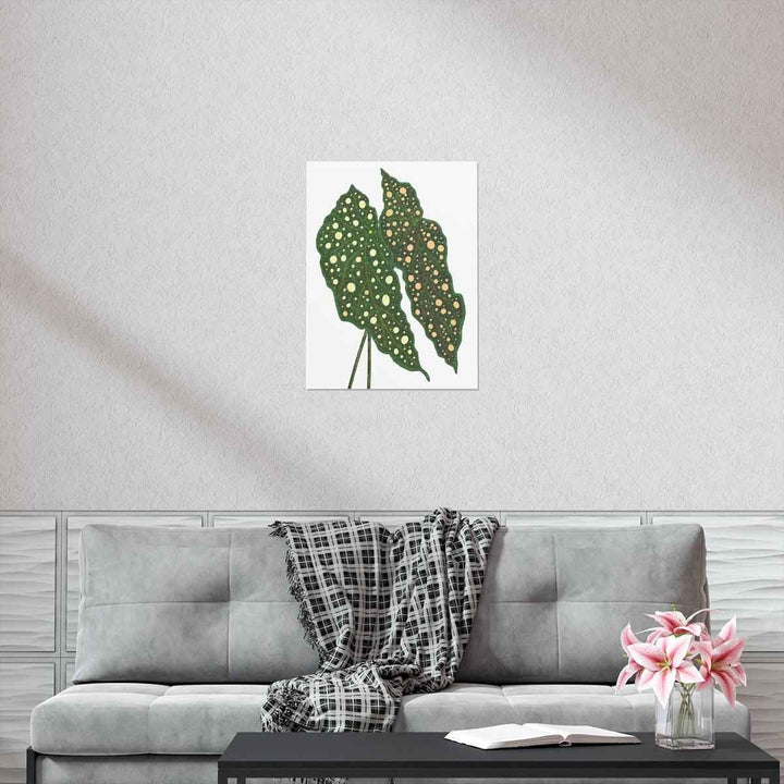 Begonia Maculata Print - Botanical Wall Art on Museum Grade Paper | Matte Finish Unframed