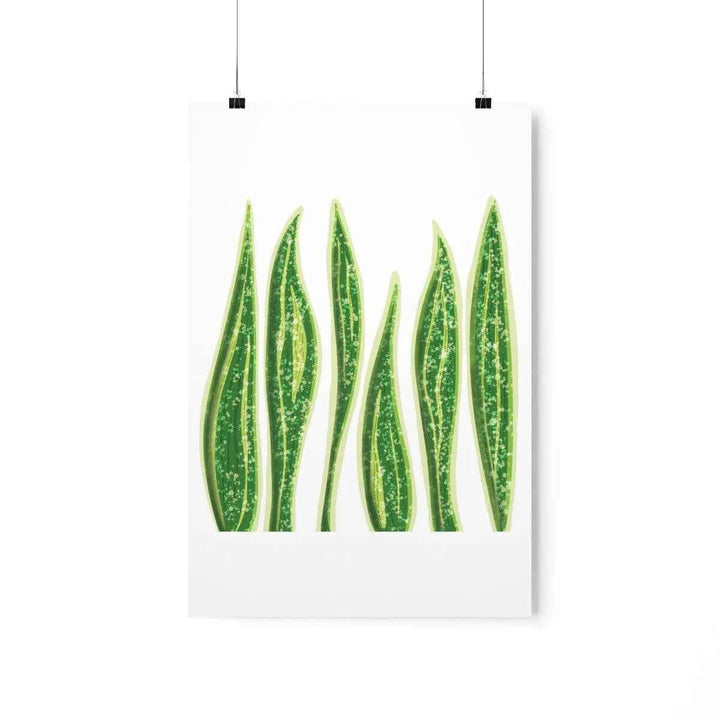 Snake Plant Print – Large Botanical Wall Art Poster | Matte Finish | Unframed