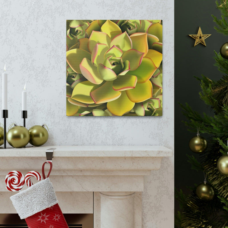 Noble Aeonium Succulent Pattern Canvas, Canvas, Printify, Art & Wall Decor, Canvas, Hanging Hardware, Home & Living, Indoor, Laura Christine Photography & Design, laurachristinedesign.com