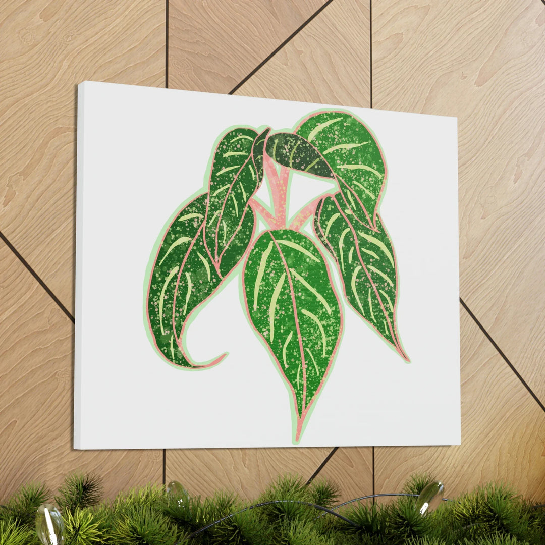 Aglaonema Plant Canvas | Sparkling Plant Artwork - Colorfast Canvas Art Print Decor