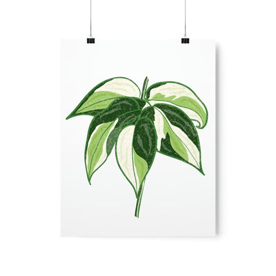 Philodendron 'Cream Splash' Print, Poster, Printify, Back to School, Home & Living, Indoor, Matte, Paper, Posters, Valentine's Day promotion, Laura Christine Photography & Design, laurachristinedesign.com