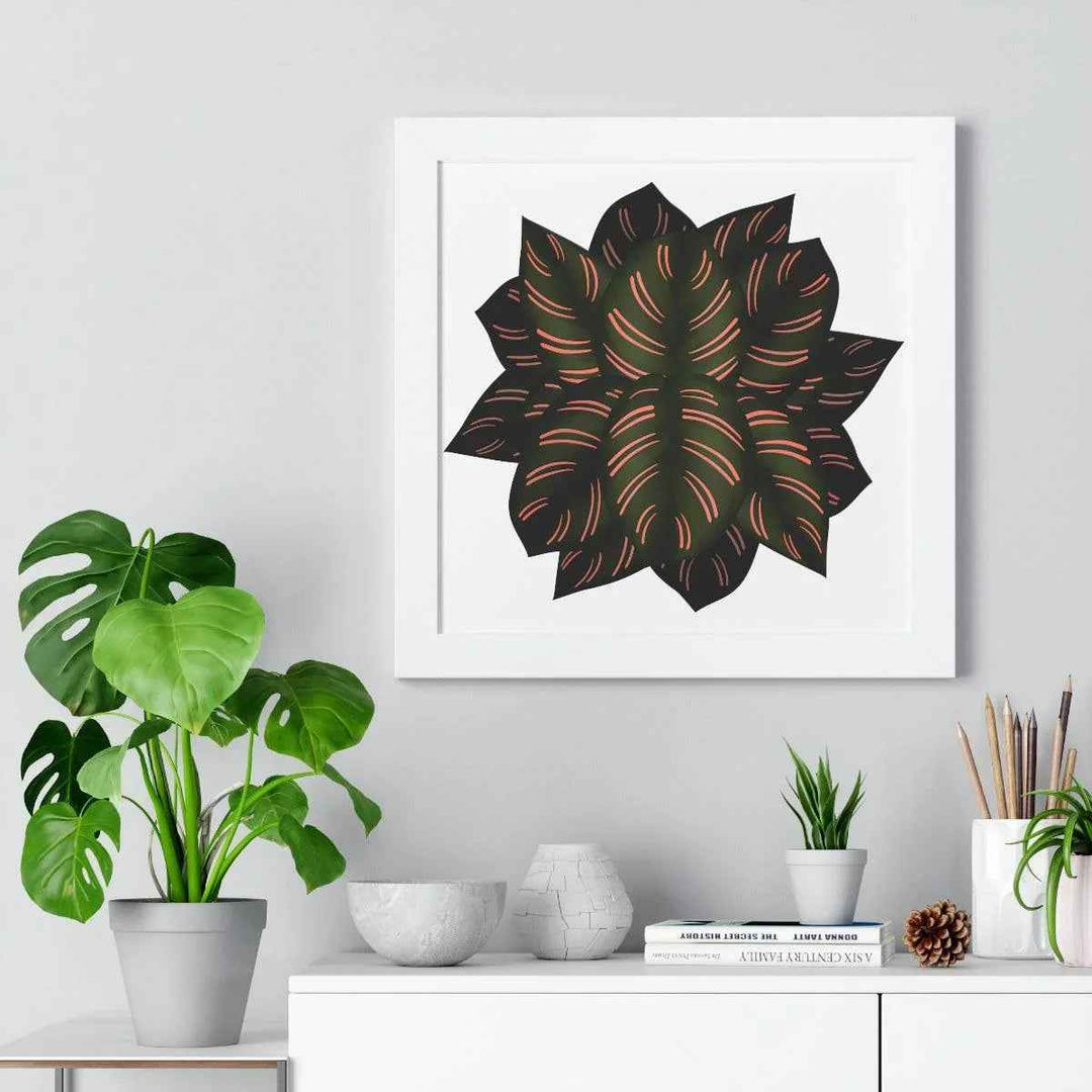 Calathea Pinstripe Print - Framed Botanical Art With Matte Finish & Acrylic Cover
