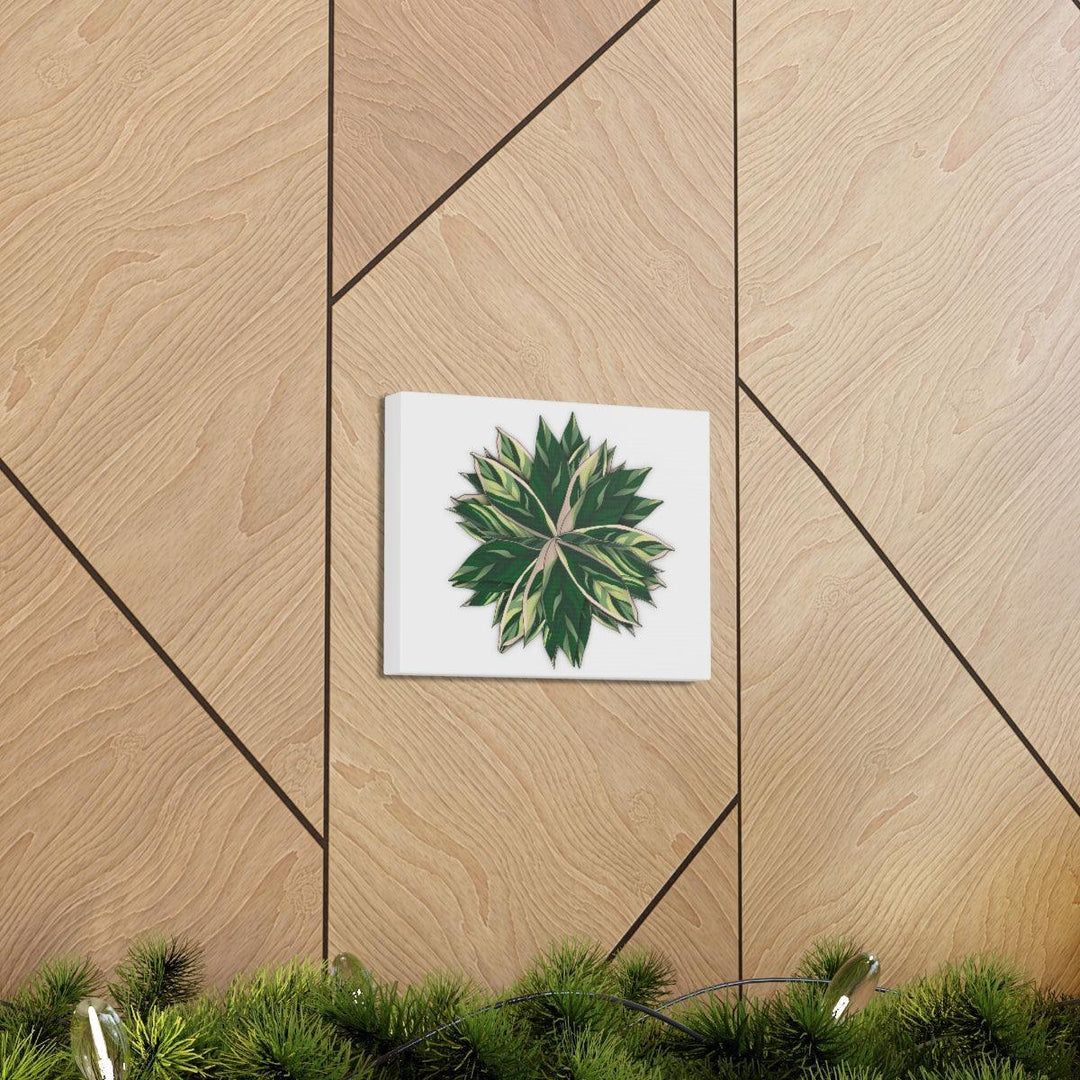Stromanthe Triostar Canvas - Pastel Stripe Canvas Art Print With Vivid Color Artwork - Laura Christine Photography & Design