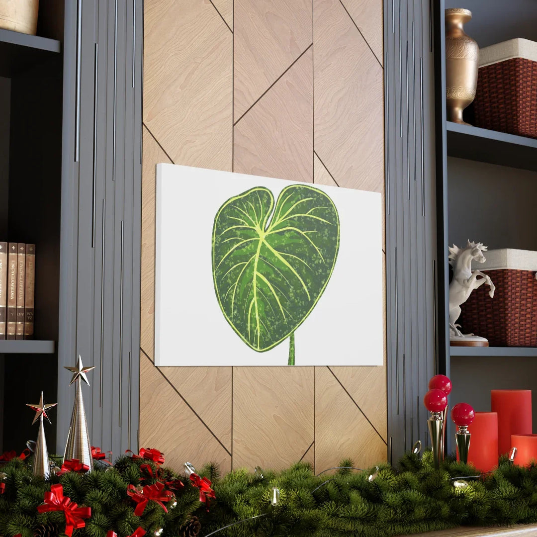 Philodendron Gloriosum Canvas - Stretched Canvas Art Print | Matte Indoor Wall Art - Laura Christine Photography & Design