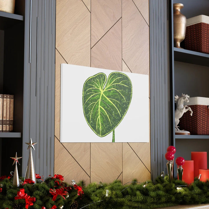 Philodendron Gloriosum Canvas - Stretched Canvas Art Print | Matte Indoor Wall Art - Laura Christine Photography & Design
