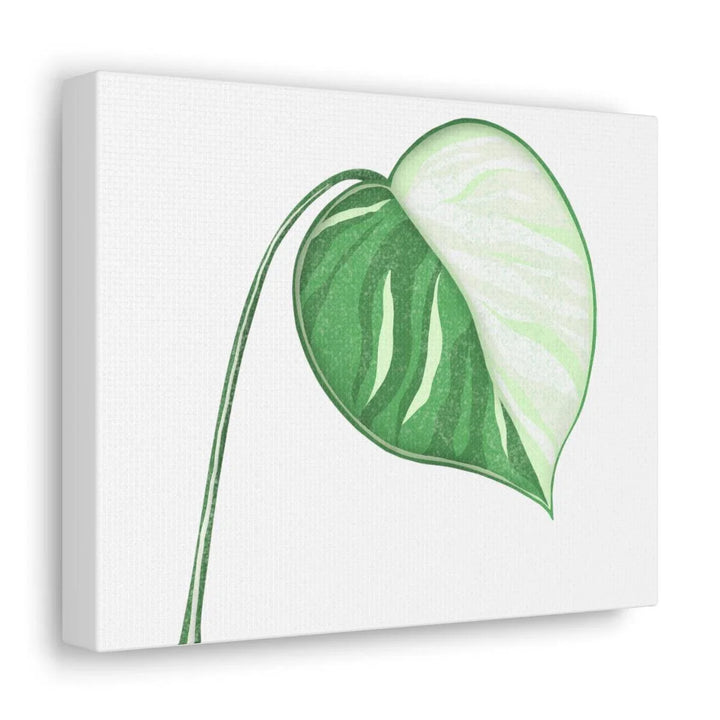 Monstera Albo Canvas | Large Tropical Leaf Artwork - Matte Finish Canvas Art Print - Laura Christine Photography & Design