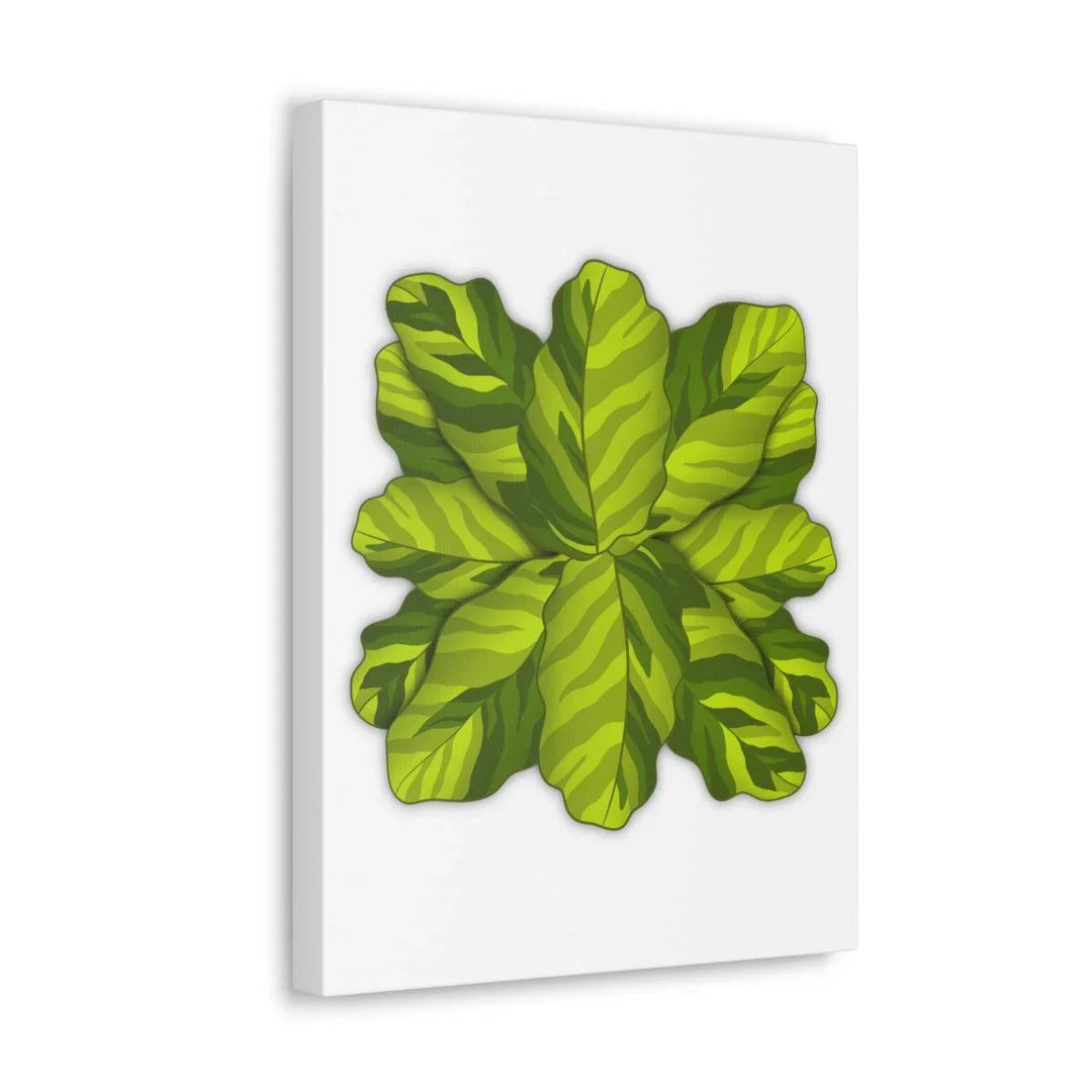 Calathea Yellow Fusion Canvas – Botanical Canvas Print With Unique Leaf Pattern Art - Laura Christine Photography & Design