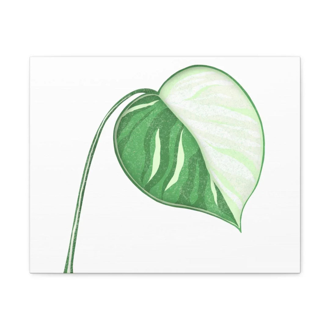 Monstera Albo Canvas | Large Tropical Leaf Artwork - Matte Finish Canvas Art Print - Laura Christine Photography & Design