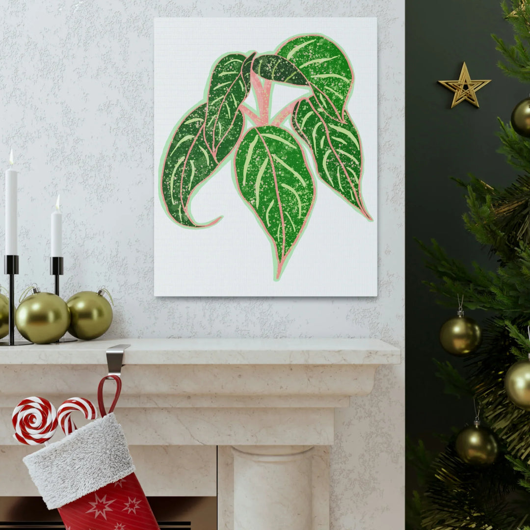 Aglaonema Plant Canvas | Sparkling Plant Artwork - Colorfast Canvas Art Print Decor