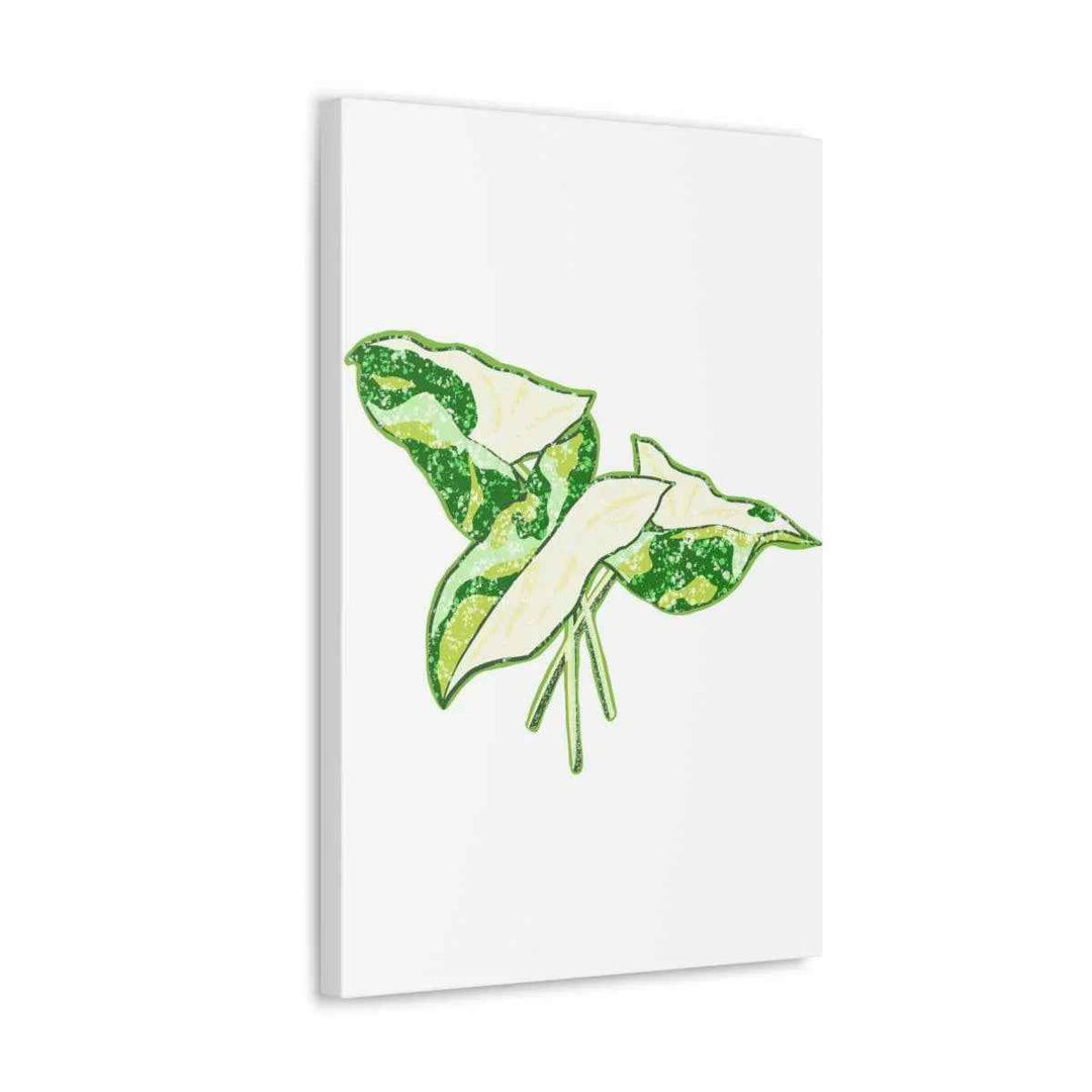 Marble Syngonium Canvas - Botanical Canvas Art Print | Durable Cotton Matte Finish